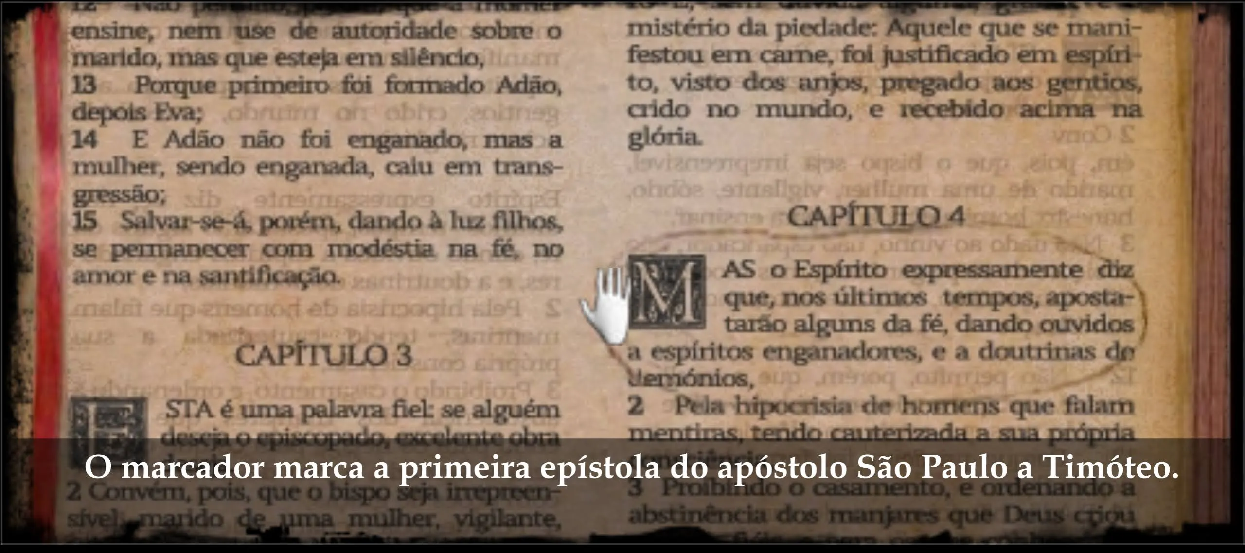 Captura 5